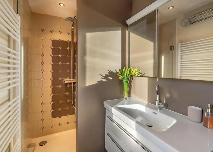 And Mountain View With Whirlpool And Free Parking In Huenibach Thun