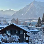 And Mountain View With Whirlpool And Free Parking In Huenibach Villa Thun