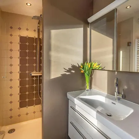 And Mountain View With Whirlpool And Free Parking In Huenibach Thun